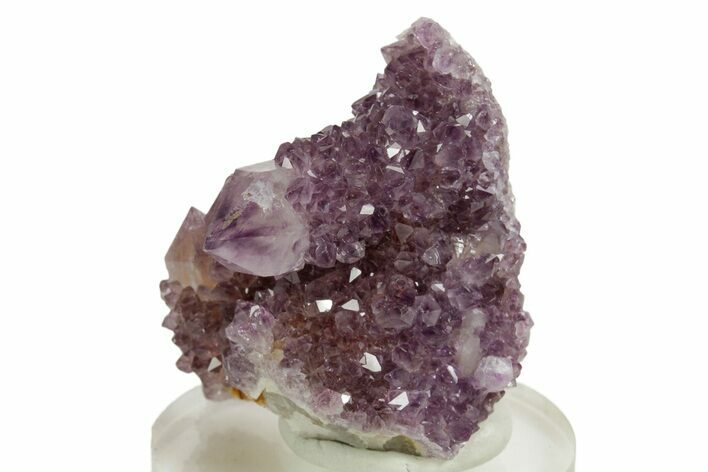 Sparkling Cactus Amethyst Crystal Cluster - South Africa #364595